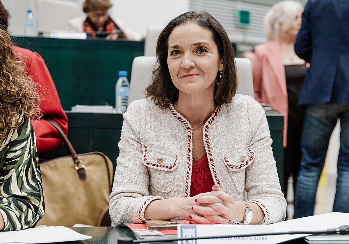Reyes Maroto, durante una de las últimas sesiones plenarias