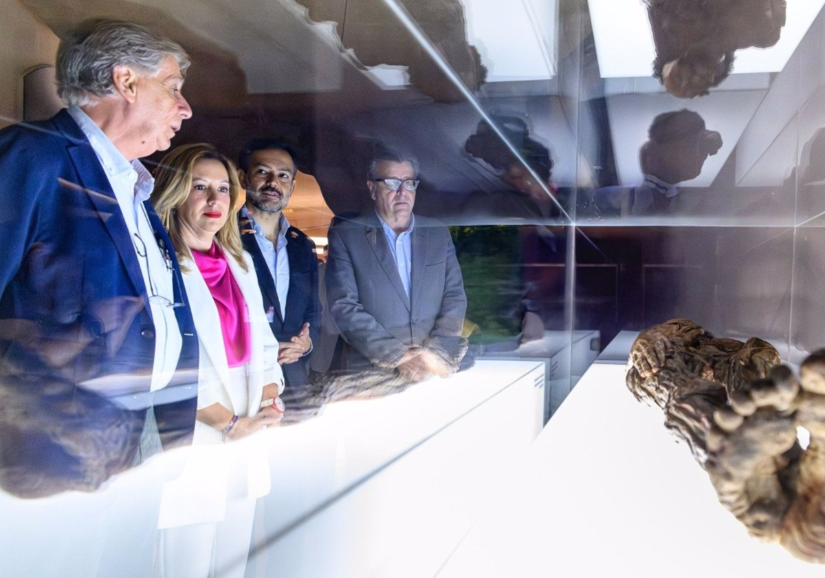 La presidenta del Cabildo de Tenerife y el vicepresidente, Rosa Dávila y Lope Afonso, respectivamente, junto a la réplica de la momia de Erque en el MUNA