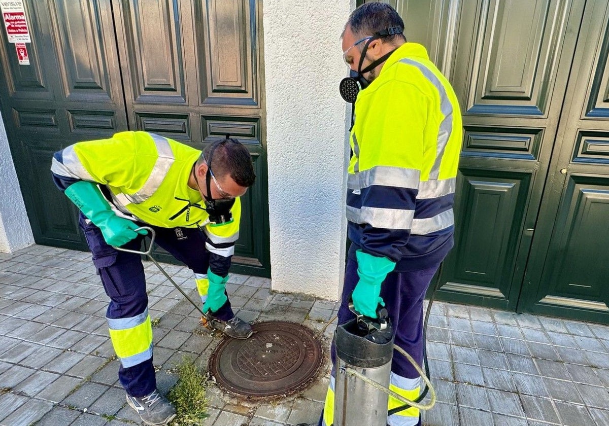 Técnicos del Ayuntamiento de Ciudad Real