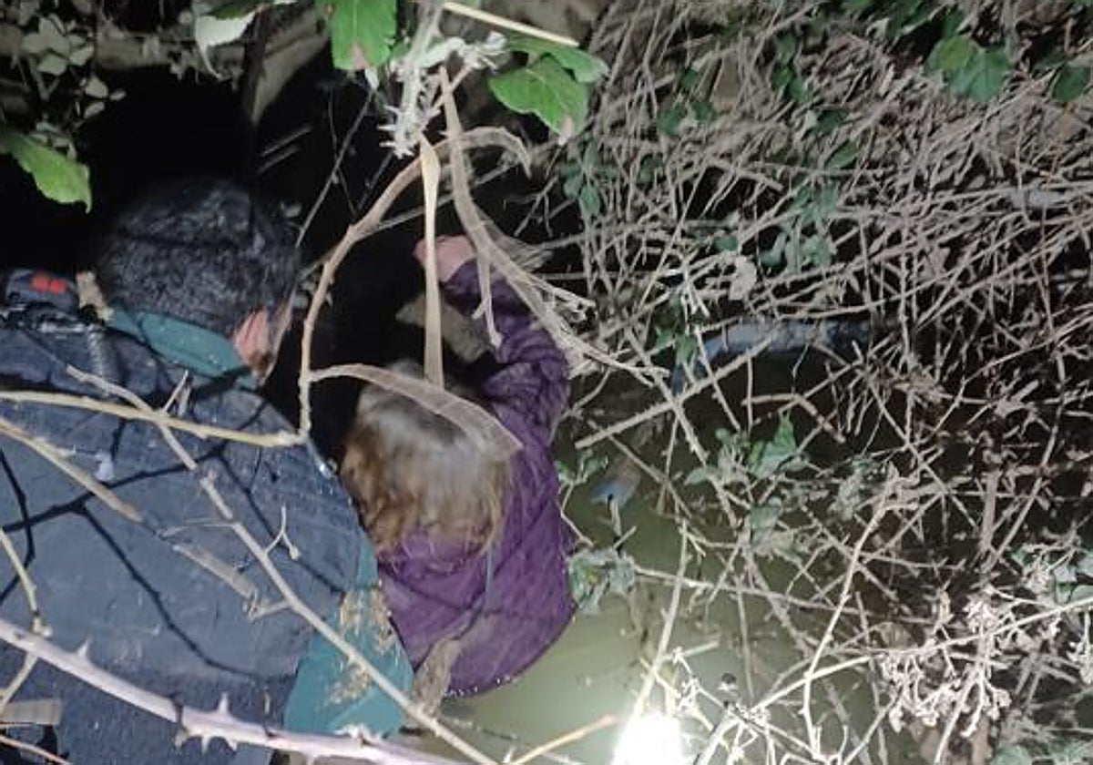 El agónico y heroico rescate de una mujer que llevaba horas en las gélidas aguas del río Pisuerga agarrada a una rama