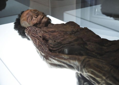 Imagen secundaria 1 - Canarias reclama su momia guanche y rechaza la carta de Urtasun: «Nuestra historia no se esconde»