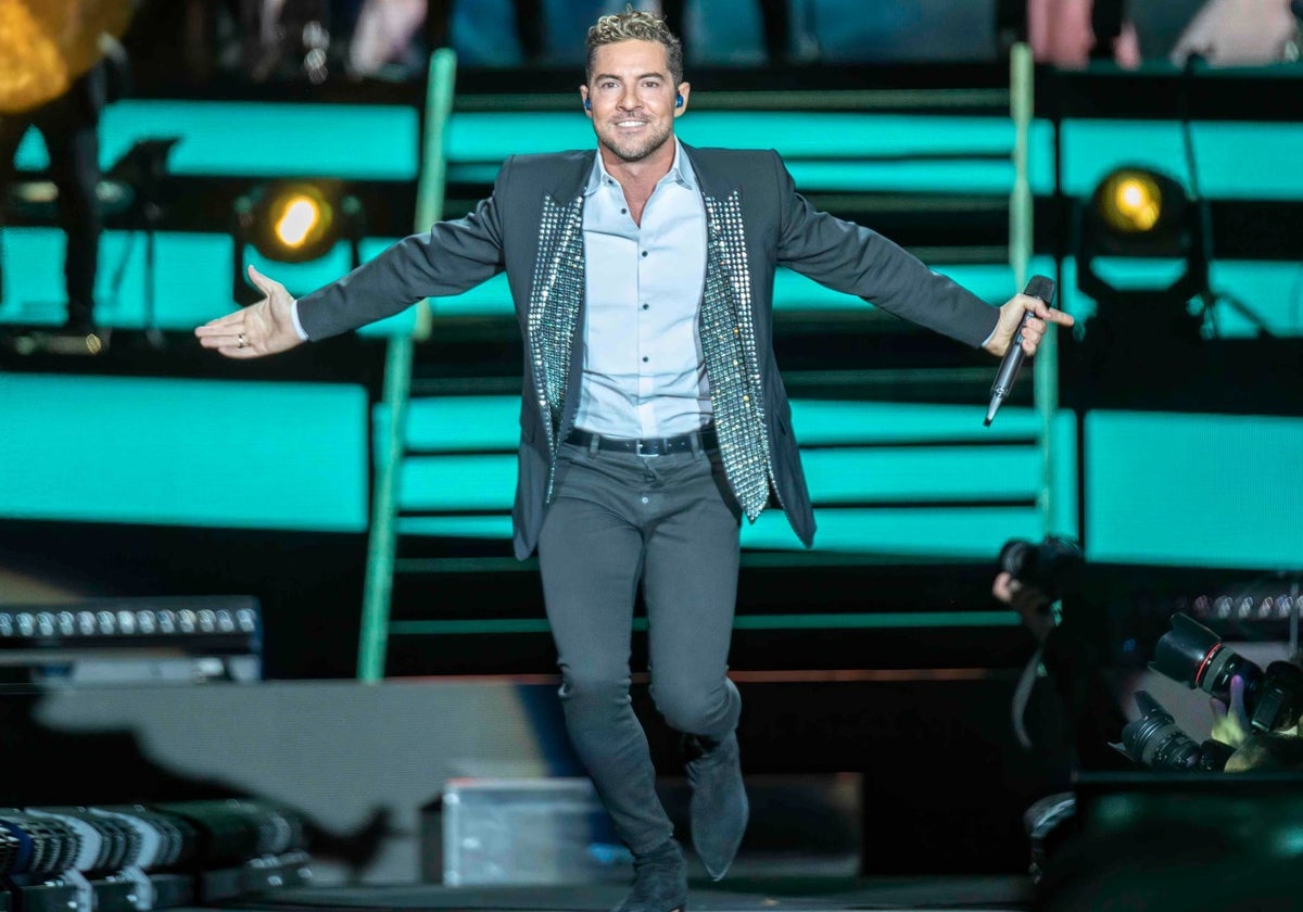 David Bisbal durante un concierto en Almería