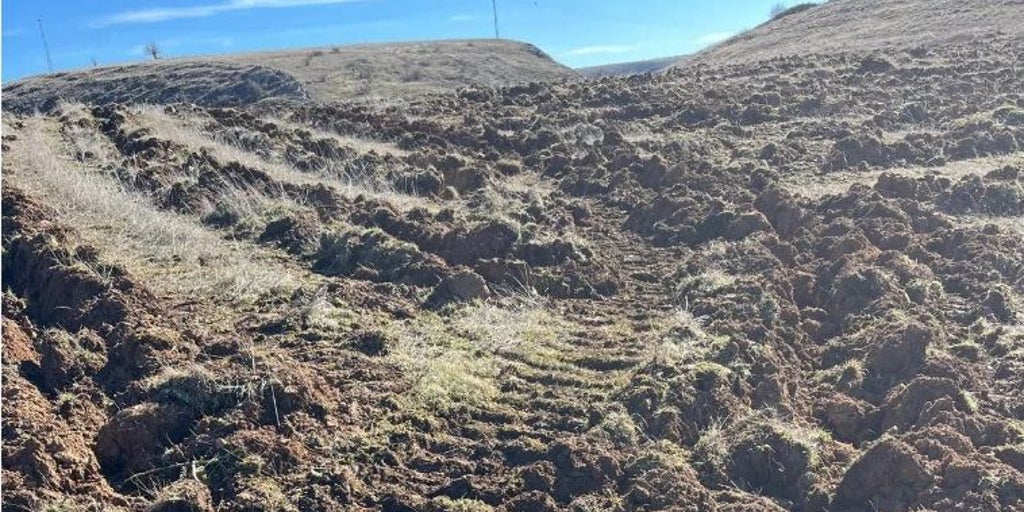 La Junta de Castilla y León promete una intervención «contundente» ante el «destrozo» del campamento romano de las Guerras Cántabras en Palencia