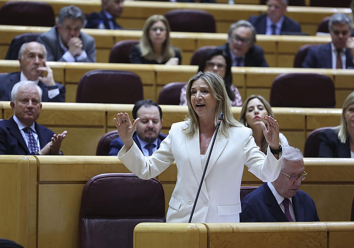 Alicia García, portavoz del Partido Popular en el Senado
