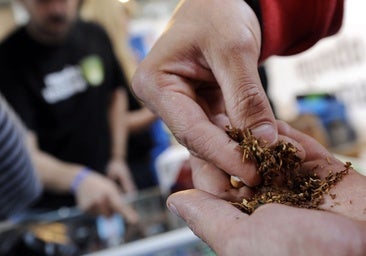 Más cannabis, menos tabaco y el doble de alcohol entre las sustancias que consumen los madrileños