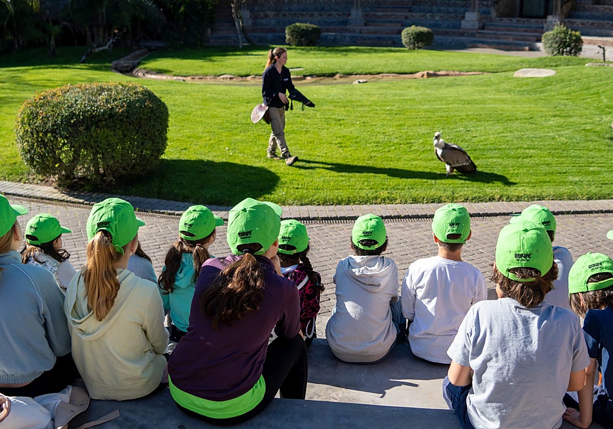 Bioparc Valencia abre las inscripciones para su Escuela de Pascua &#039;Expedición África&#039;