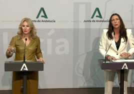 Andalucía no pedirá las competencias en inmigración pactadas con Cataluña «porque es inconstitucional y rompe España»