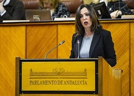 La Junta impulsará la construcción de 20.000 viviendas públicas en cinco años en Andalucía