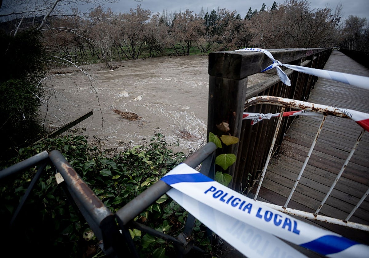 Crecida del río Henares, ayer