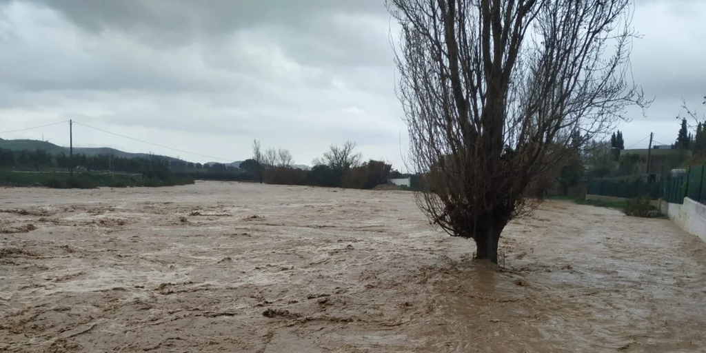 Familias evacuadas, ríos desbordados y carreteras cortadas: así ha azotado el temporal esta semana a Andalucía