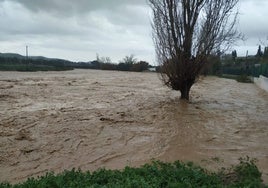 Familias evacuadas, ríos desbordados y carreteras cortadas: así ha azotado el temporal esta semana a Andalucía