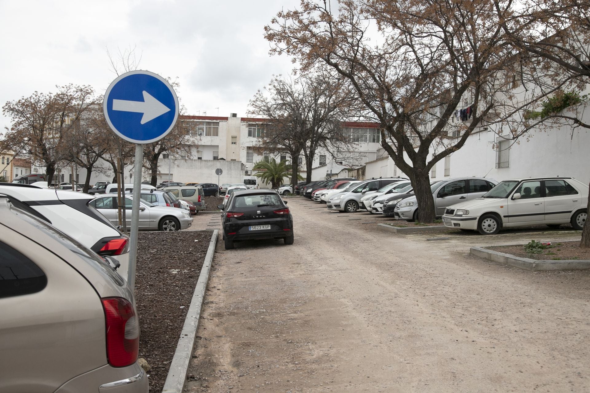 La actividad de los gorrillas en el barrio del Arcángel, en imágenes
