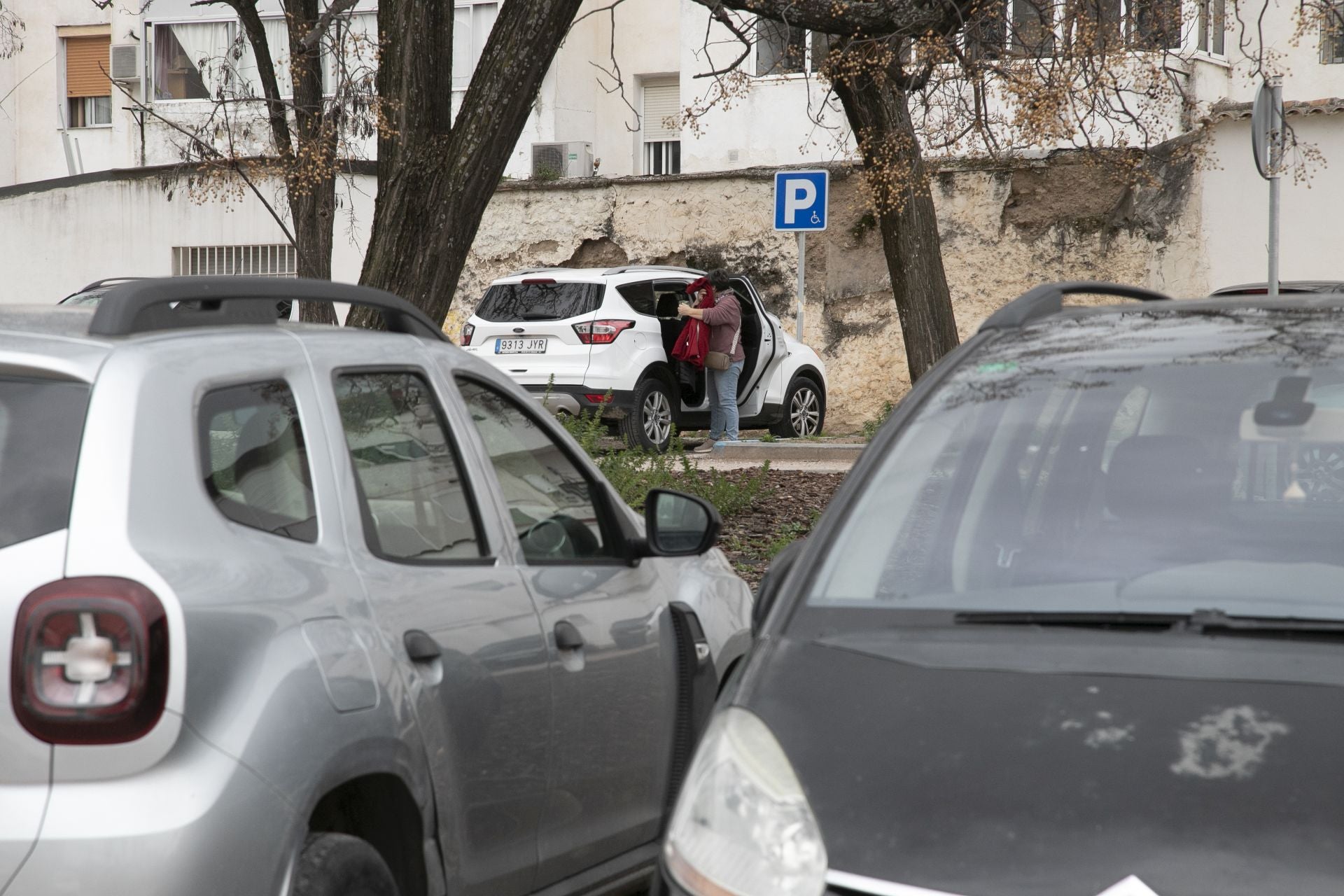 La actividad de los gorrillas en el barrio del Arcángel, en imágenes