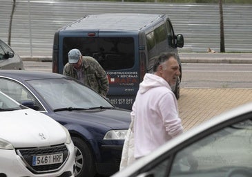 En imágenes, la actividad de los gorrillas de El Arcángel