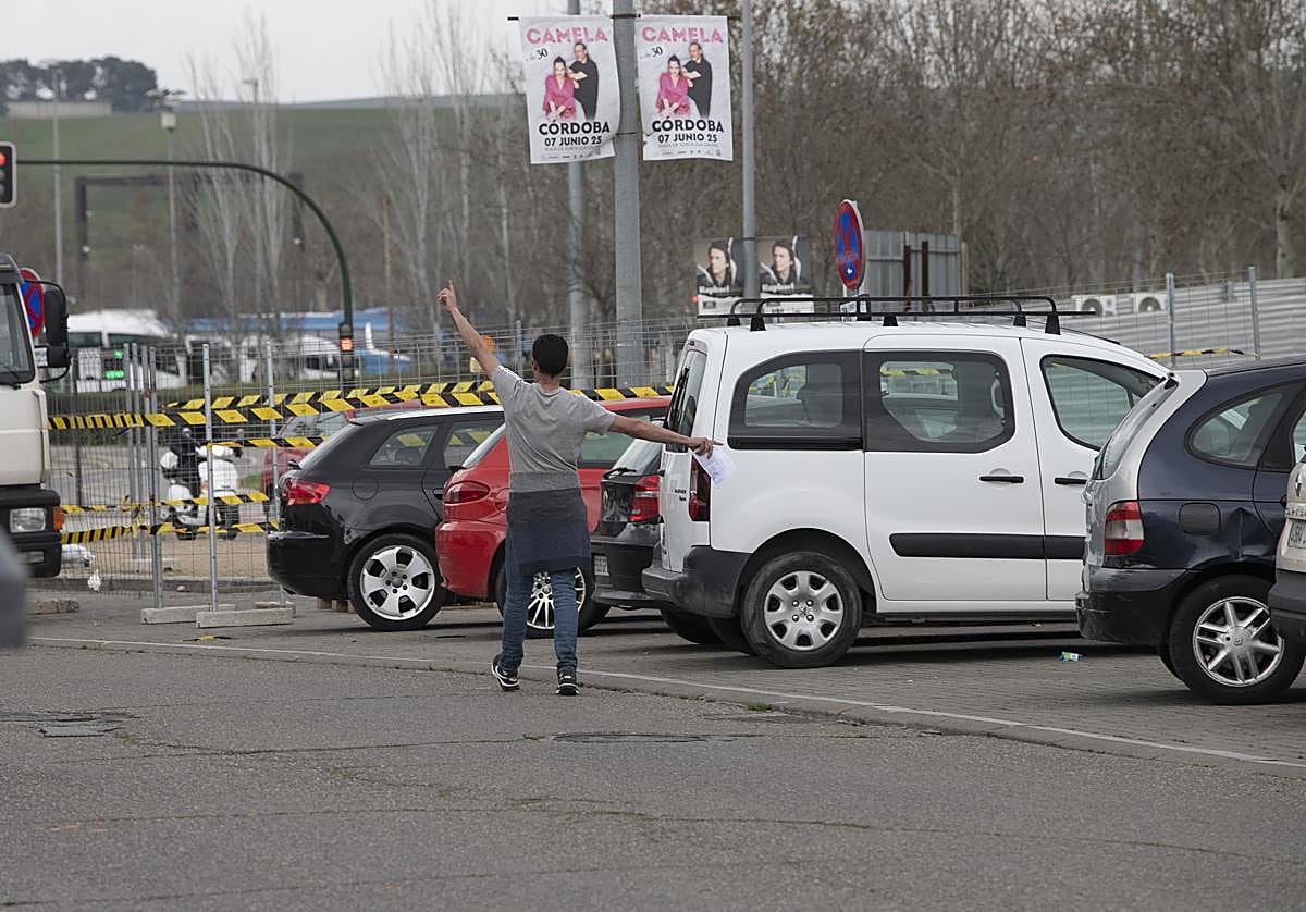 Un gorrilla enla zona de El Arcángel