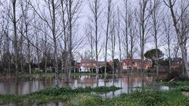 Escalona prepara su polideportivo para acoger a posibles vecinos desalojados por la crecida del Alberche