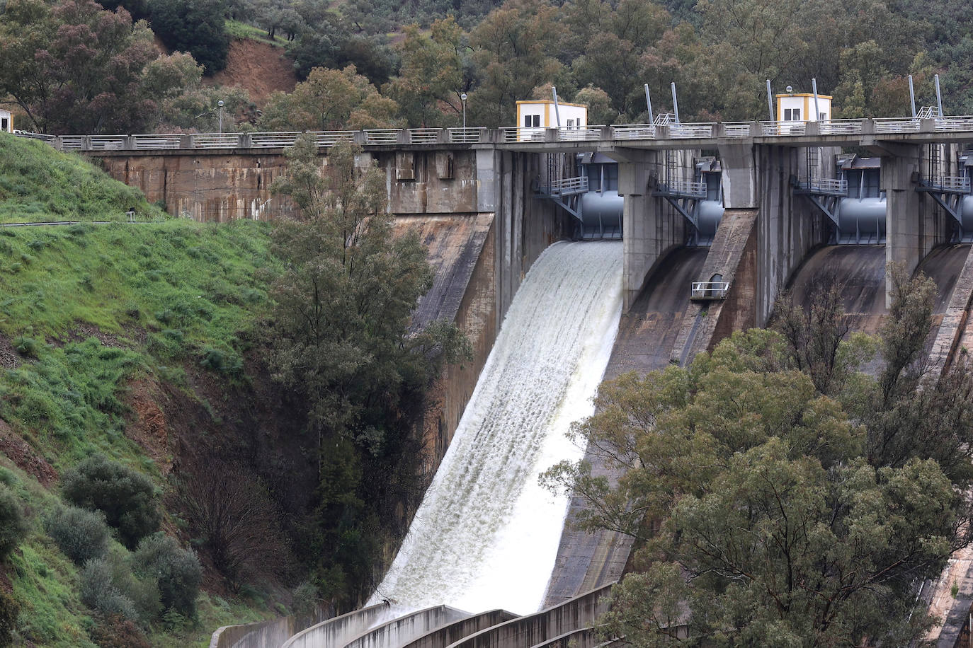 La notable crecida del río Guadalquivir, en imágenes