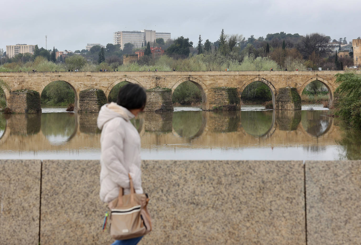 La notable crecida del río Guadalquivir, en imágenes