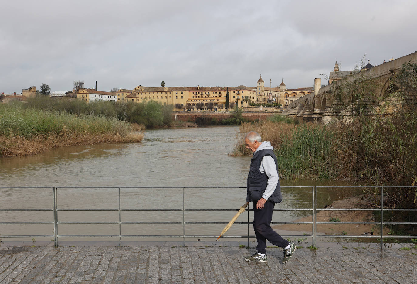 La notable crecida del río Guadalquivir, en imágenes