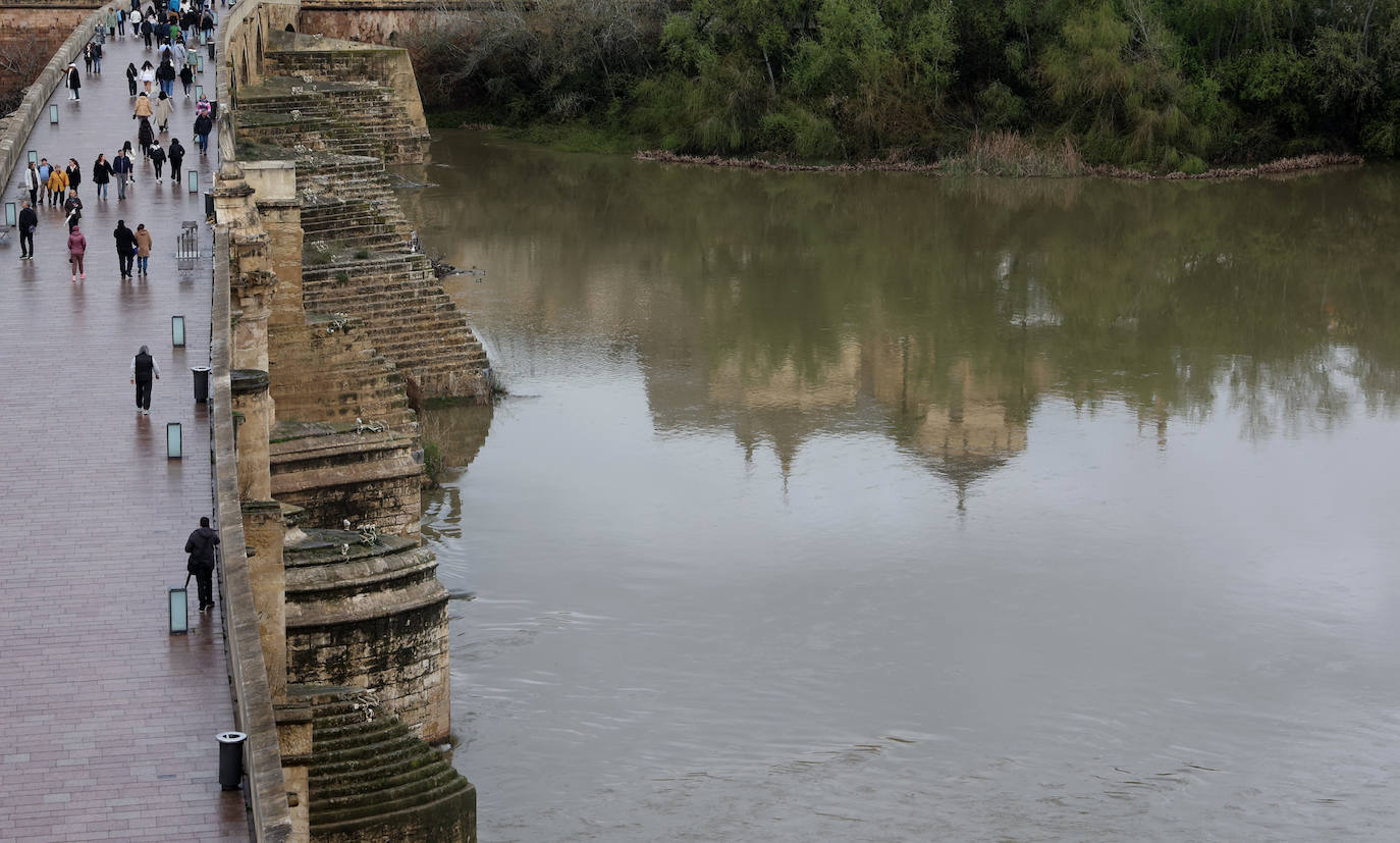 La notable crecida del río Guadalquivir, en imágenes