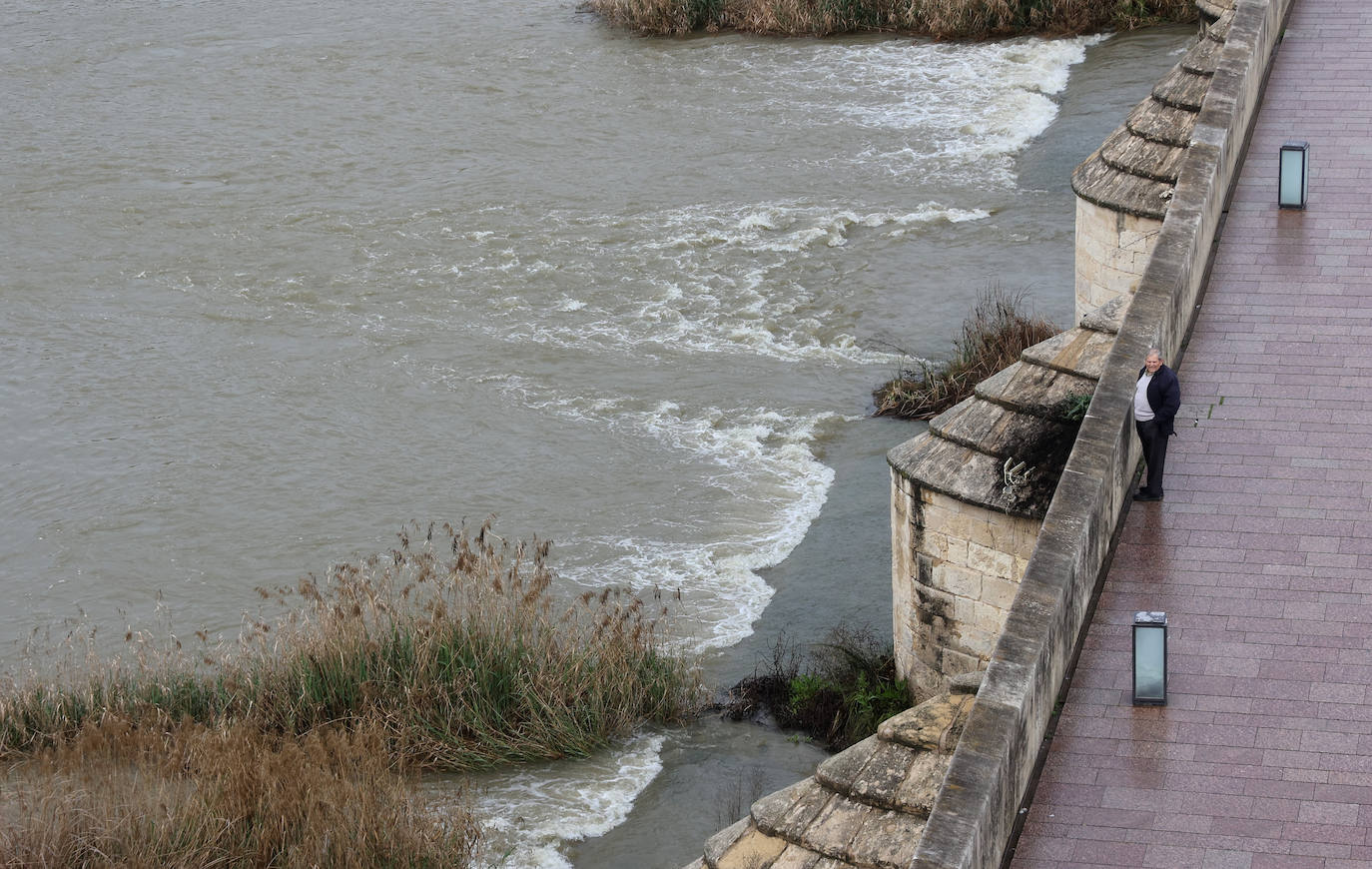 La notable crecida del río Guadalquivir, en imágenes