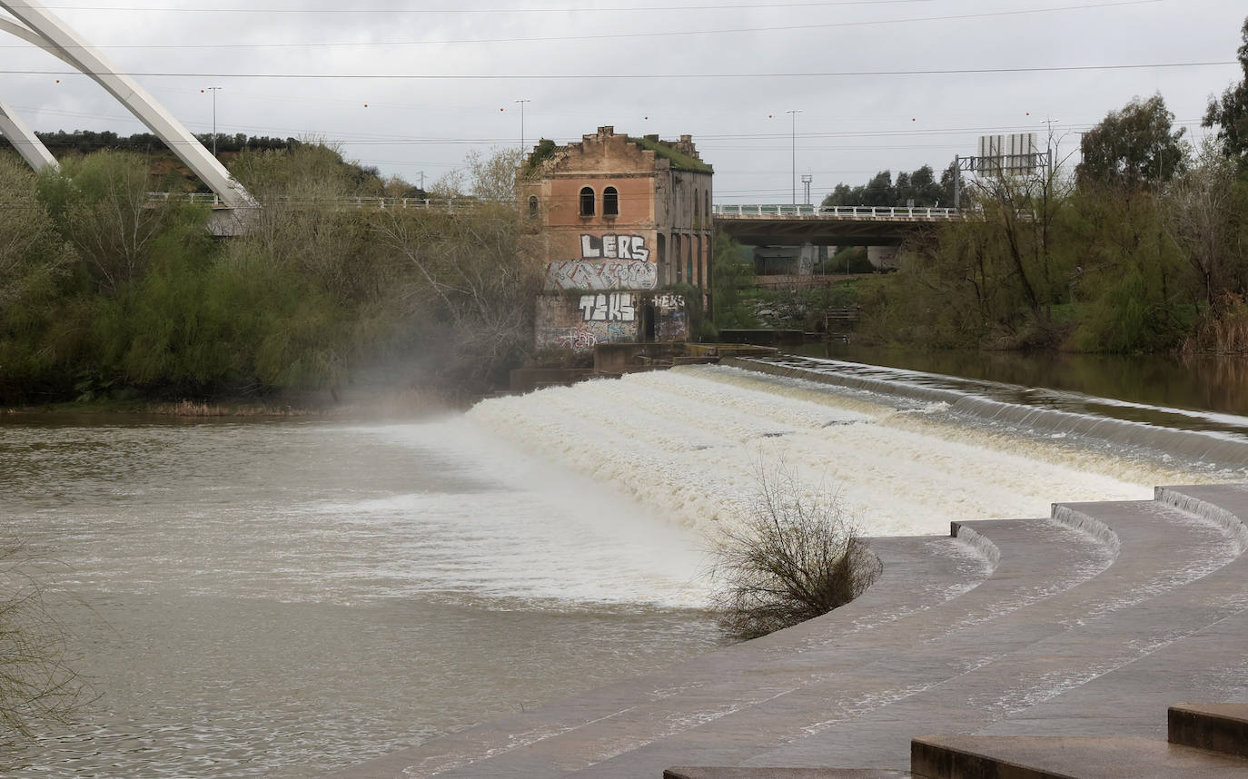 La notable crecida del río Guadalquivir, en imágenes