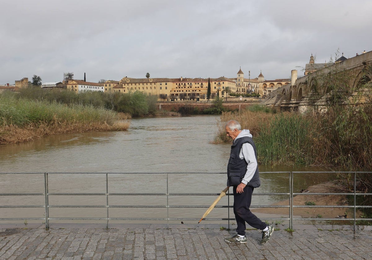 La notable crecida del río Guadalquivir, en imágenes