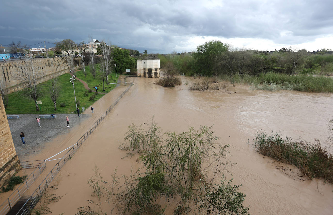 La espectacular subida del nivel del río Guadalquivir, en imágenes
