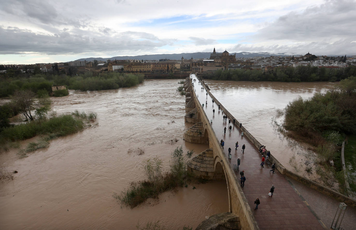 La espectacular subida del nivel del río Guadalquivir, en imágenes