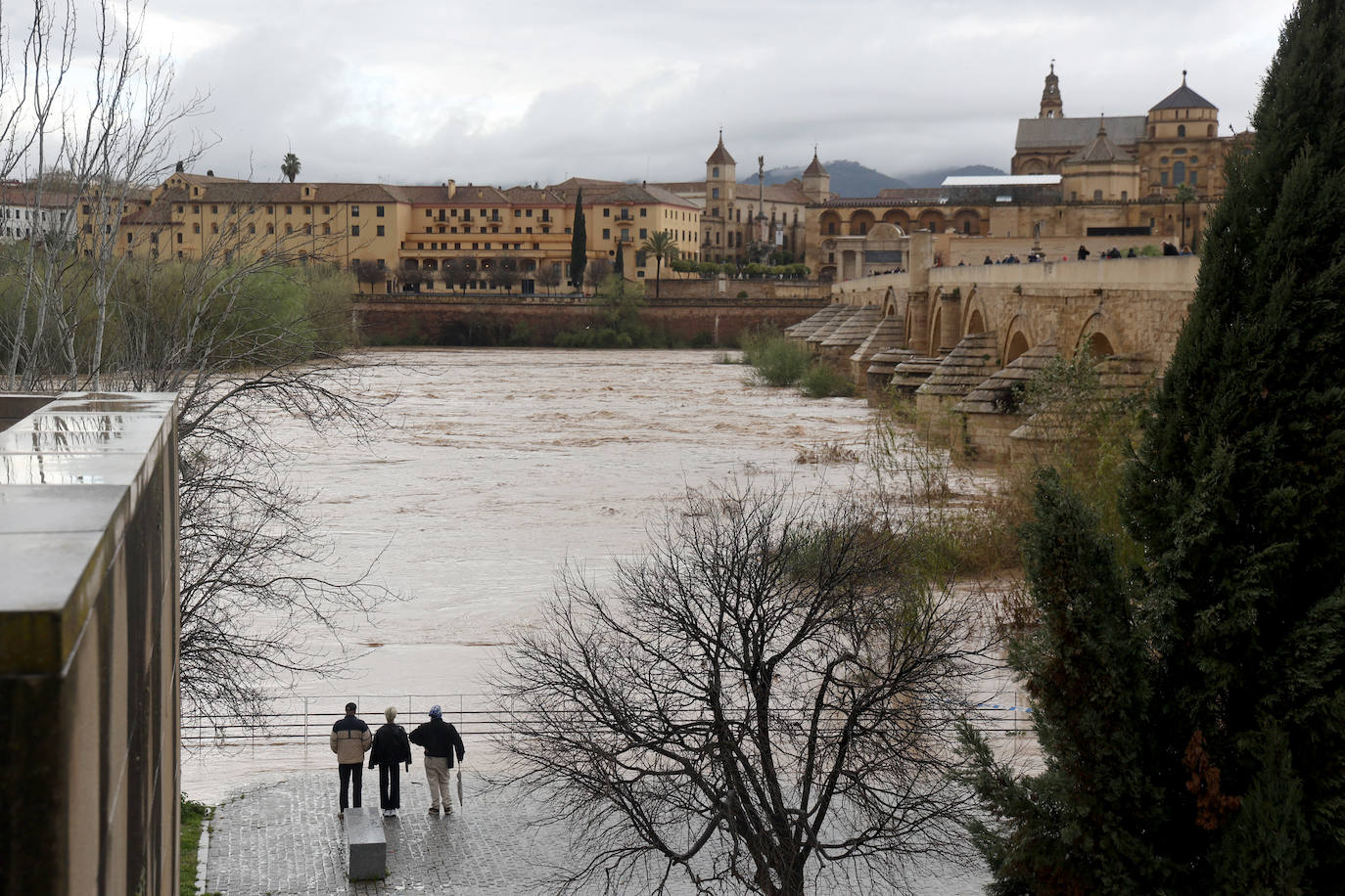 La espectacular subida del nivel del río Guadalquivir, en imágenes