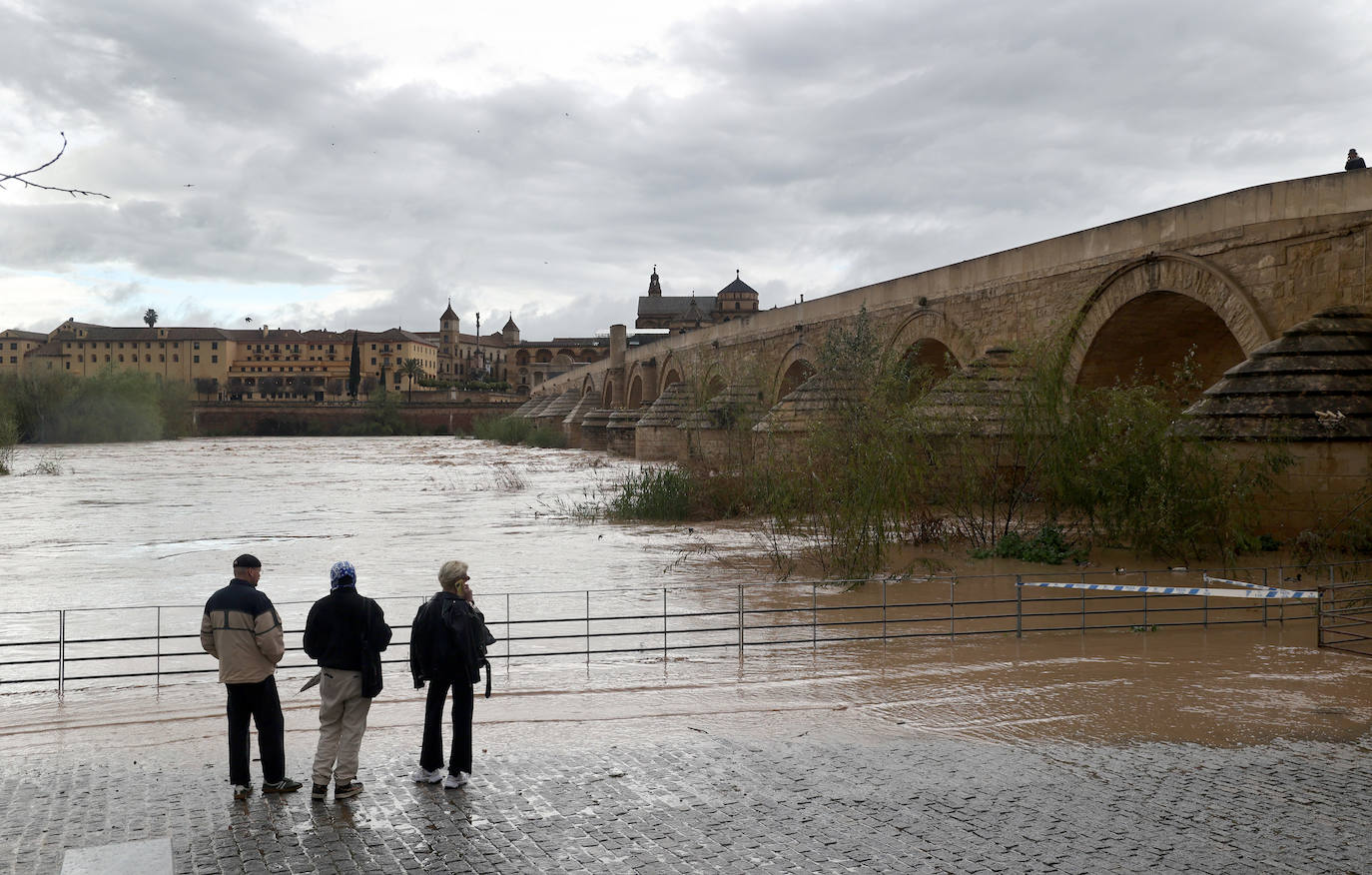 La espectacular subida del nivel del río Guadalquivir, en imágenes