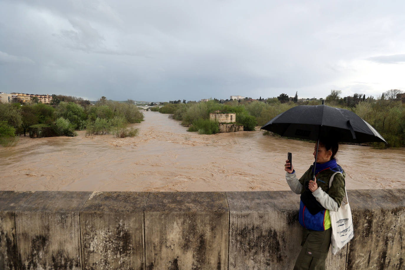 La espectacular subida del nivel del río Guadalquivir, en imágenes