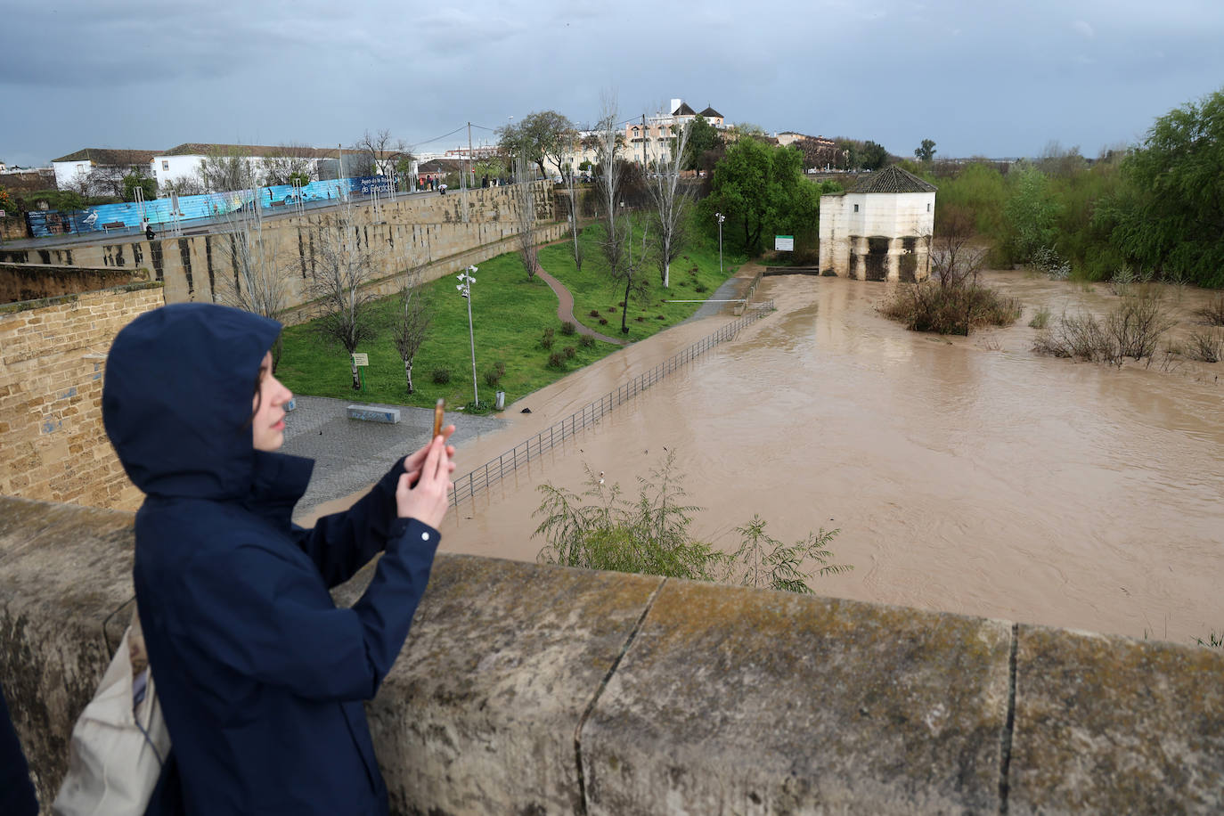 La espectacular subida del nivel del río Guadalquivir, en imágenes