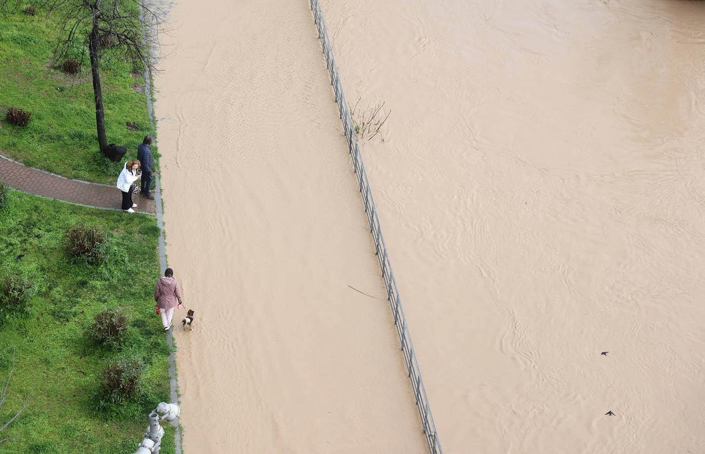 La espectacular subida del nivel del río Guadalquivir, en imágenes