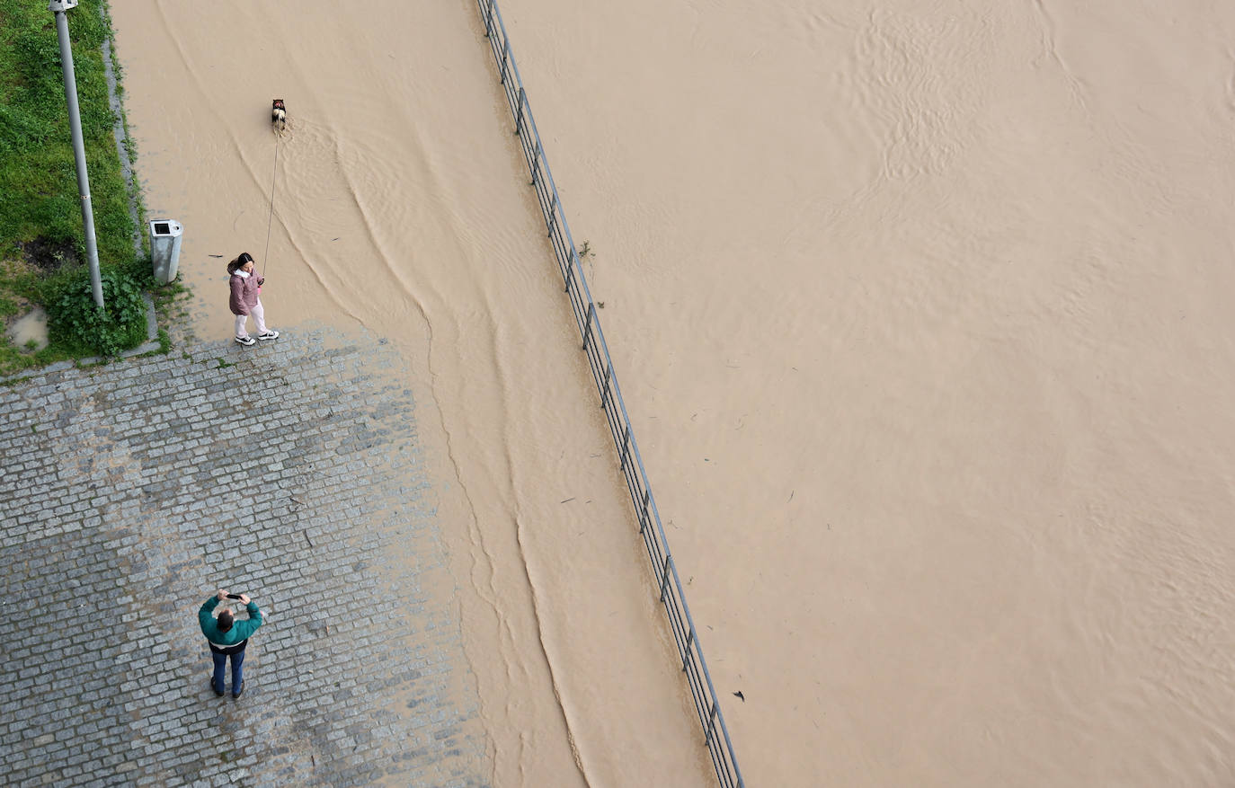 La espectacular subida del nivel del río Guadalquivir, en imágenes