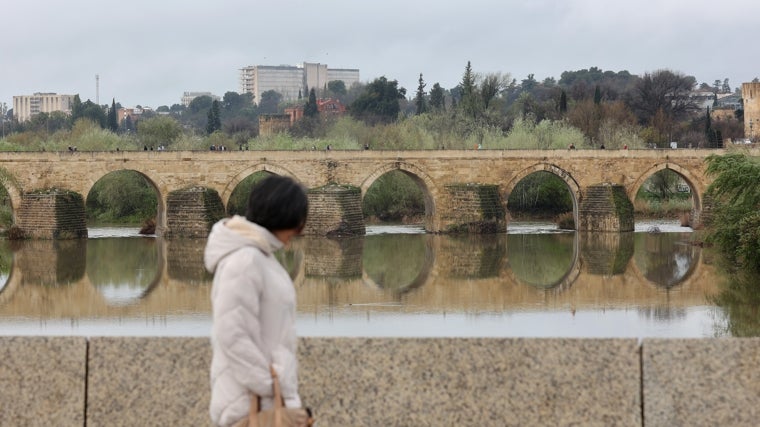 El río Guadalquivir entra en umbral amarillo de riesgo en Córdoba por la subida del caudal tras las últimas lluvias