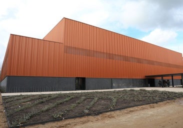 La inauguración de la reforma del pabellón deportivo de la Escuela de Gimnasia, en imágenes