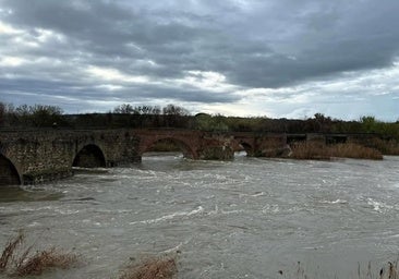 El caudal del río Tajo bate un nuevo récord a su paso por Talavera y sextuplica lo de hace una semana, con más de 600 m³/s