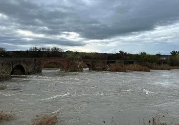 El caudal del río Tajo bate un nuevo récord a su paso por Talavera y sextuplica lo de hace una semana, con más de 600 m³/s