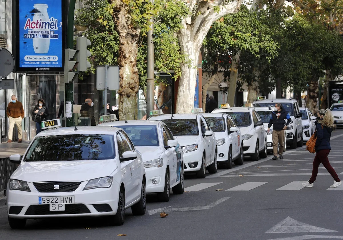Grupo de taxis en una parada de Córdoba