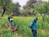 Rastreo para hallar a Paco 'el del molino' en Almogía