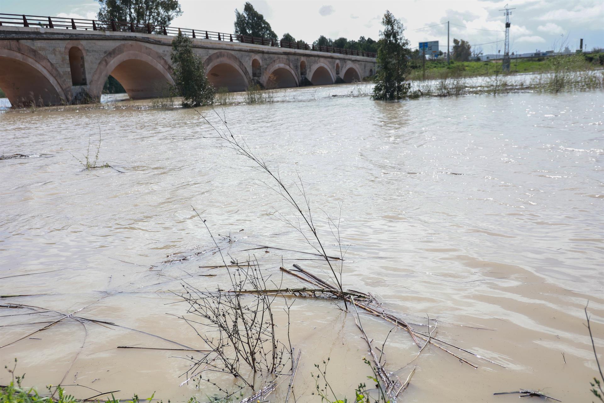 Desalojan a 200 personas en Jerez por la crecida del río Guadalete y suspenden clases en colegios