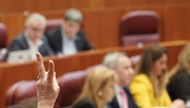 Por la «paz duradera» en Ucrania