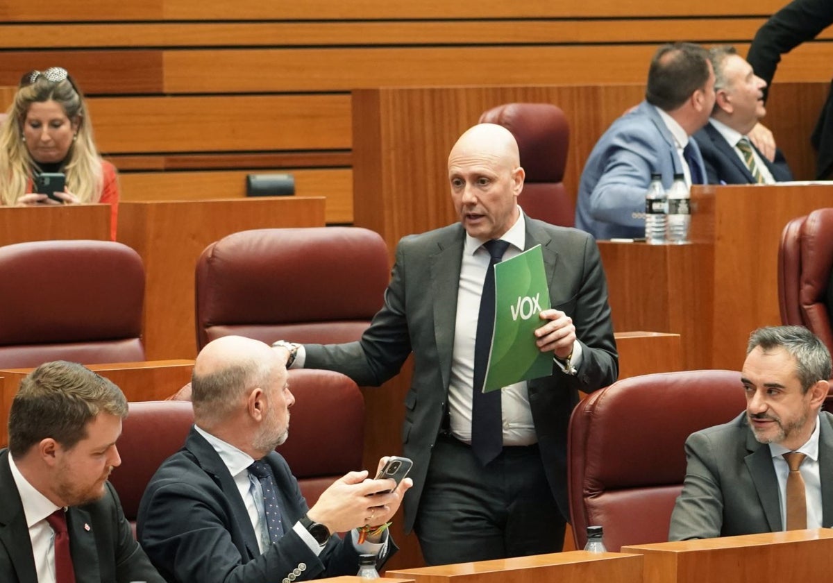 El procurador de Vox Carlos Menéndez, durante el pleno de las Cortes