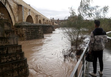 El caudal del río Guadalquivir baja del nivel naranja al amarillo ante la tregua de la lluvia