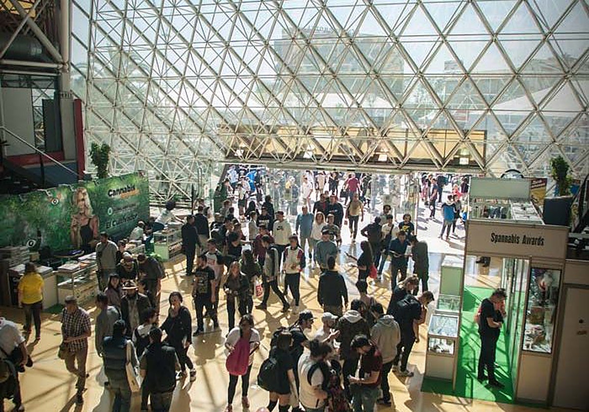 Cannabis para uso medicinal