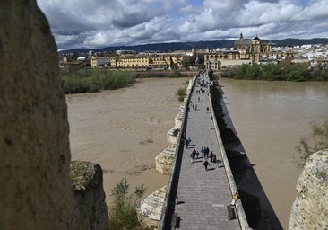 La inquietante crecida del río Guadalquivir a su paso por Córdoba, en imágenes