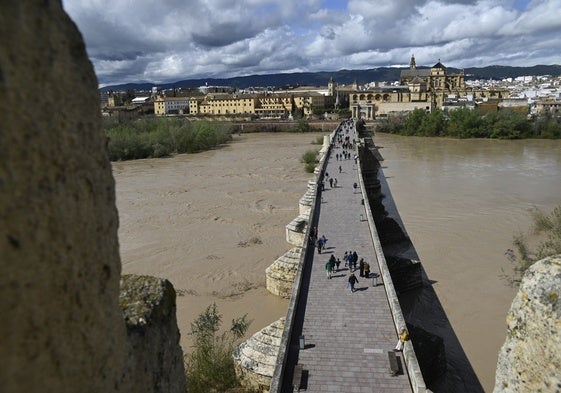 Panorámica del Puente Romano con un río Guadalquivir casi al límite de sus tajamares