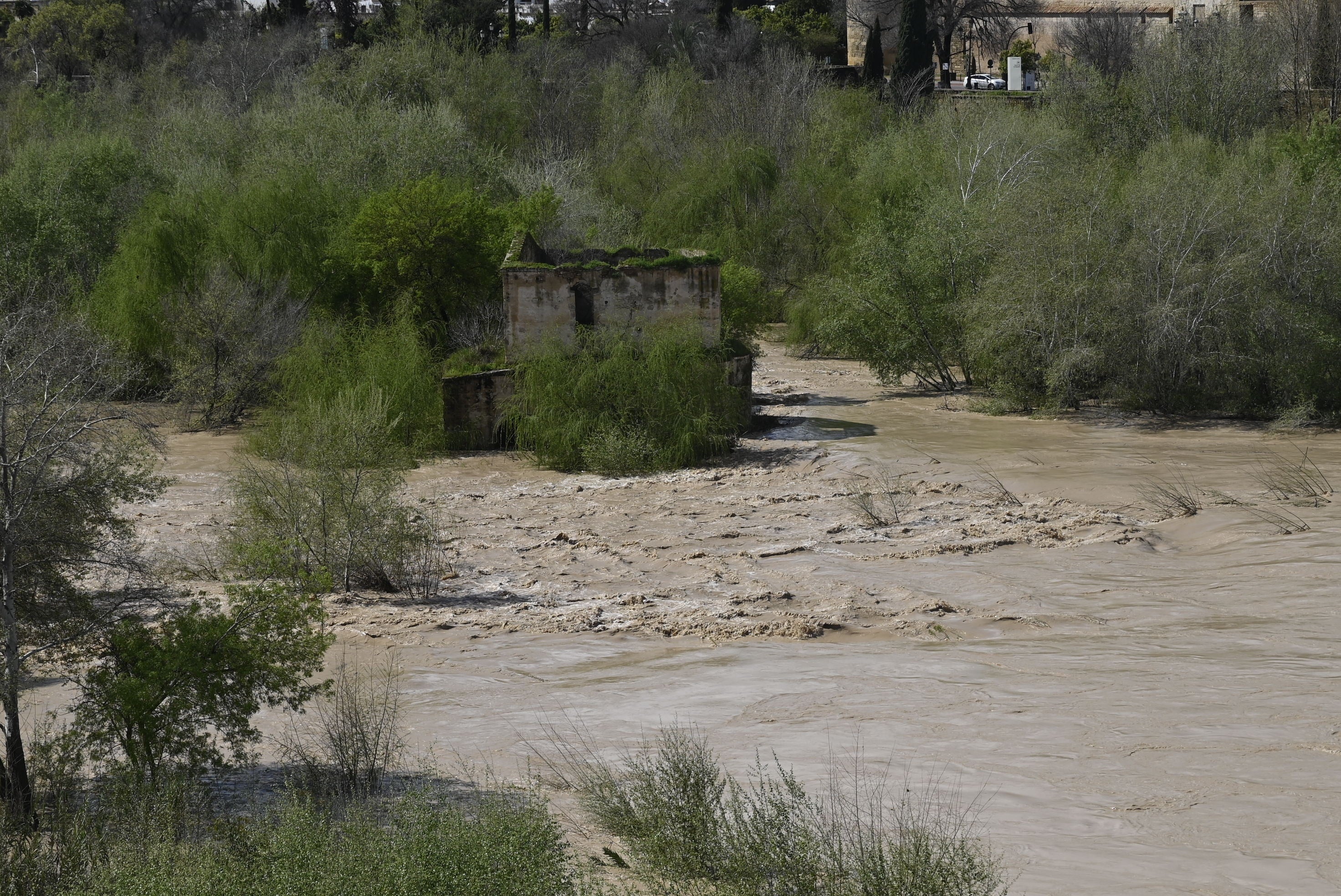 La inquietante crecida del río Guadalquivir a su paso por Córdoba, en imágenes