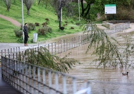 Estos son los niveles de riesgo en Córdoba por la subida del caudal en el río Guadalquivir y las medidas a adoptar